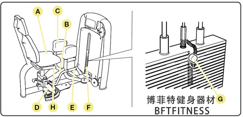 大腿外展外侧肌麻豆成人免费视频