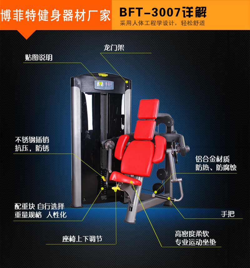 坐姿二头肌麻豆成人免费视频